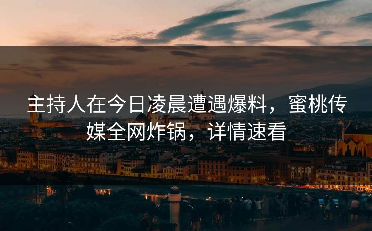 主持人在今日凌晨遭遇爆料，蜜桃传媒全网炸锅，详情速看