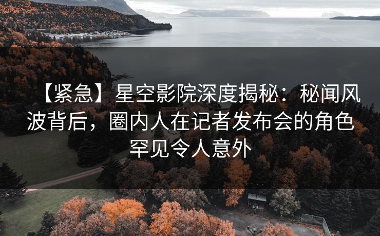 【紧急】星空影院深度揭秘:秘闻风波背后,圈内人在记者发布会的角色罕见令人意外 【紧急】星空影院深度揭秘:秘闻风波背后,圈内人在记者发布会的角色罕见令人意外